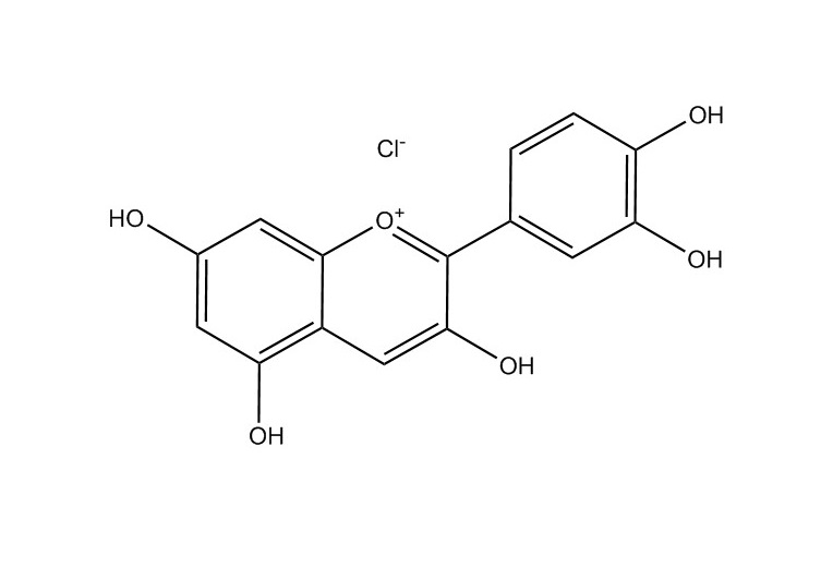 氯化矢車菊素|528-58-5